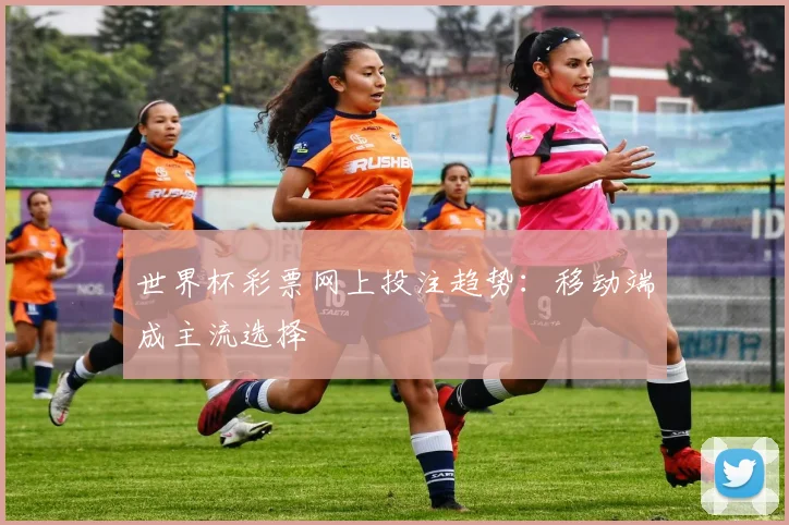 世界杯彩票网上投注趋势:移动端成主流选择