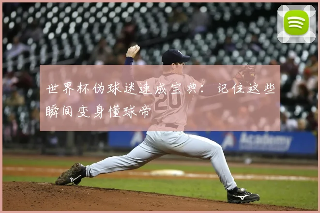 世界杯伪球迷速成宝典:记住这些瞬间变身懂球帝