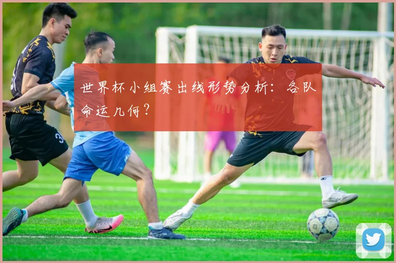 世界杯小组赛出线形势分析：各队命运几何？