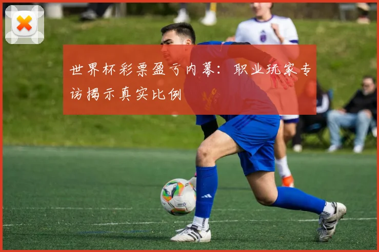 世界杯彩票盈亏内幕:职业玩家专访揭示真实比例