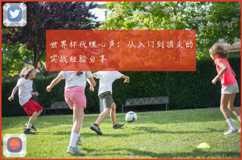 世界杯代理心声：从入门到顶尖的实战经验分享