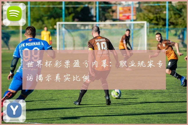 世界杯彩票盈亏内幕:职业玩家专访揭示真实比例